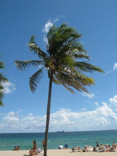 Seaside Motel Fort Lauderdale Esterno foto